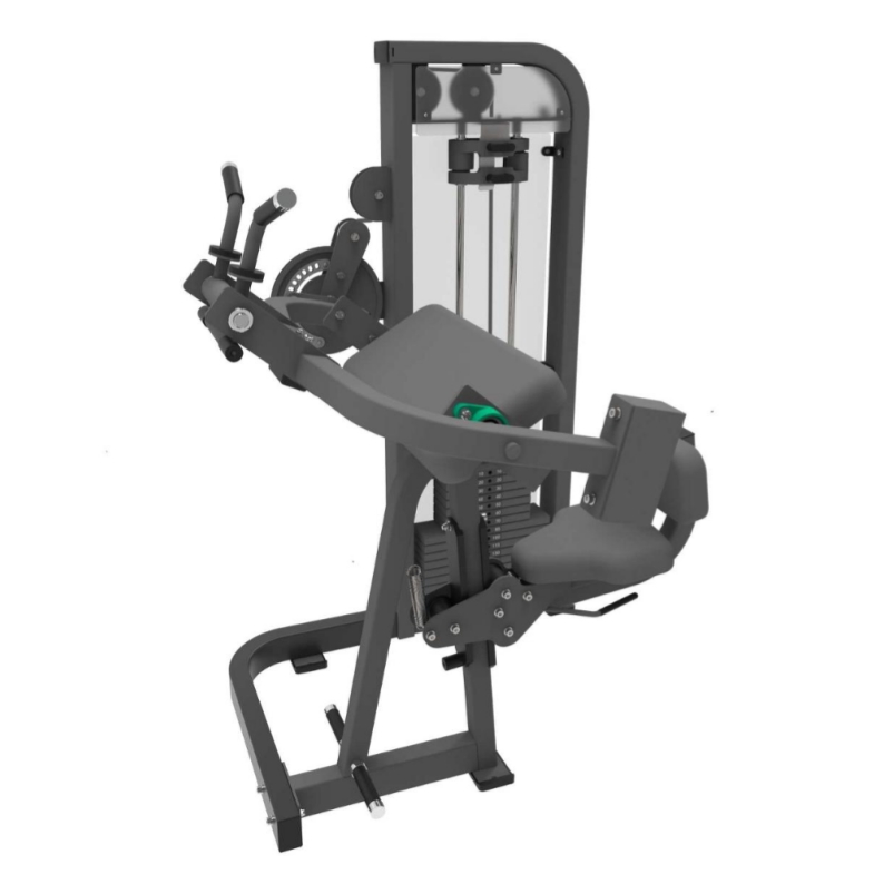 Biceps lan triceps