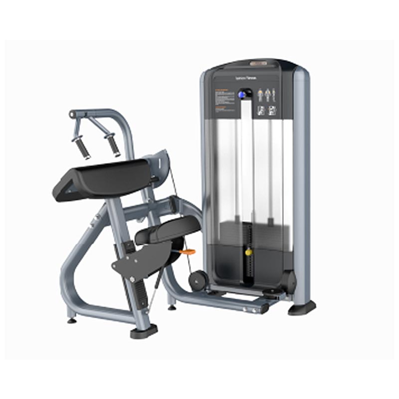 Triceps Dip Machine