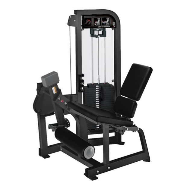 Leg extension + Prone Leg Curl