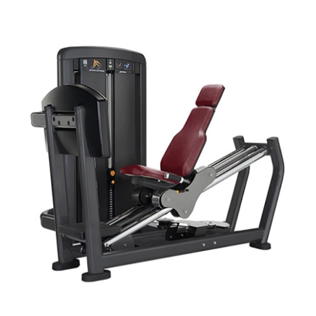 Mesin Press Leg Lenggah