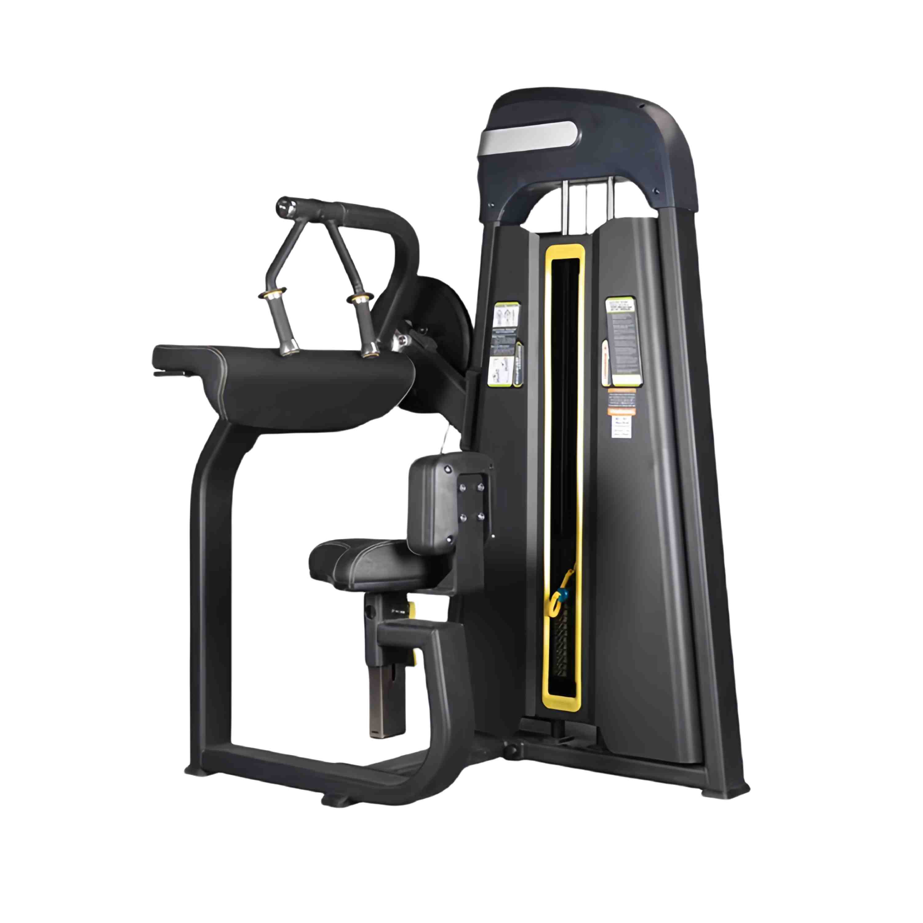 Mesin Ekstensi Tricep sing Dipilih